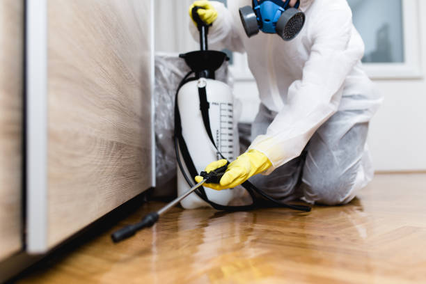 Best Best Pest Control Companies  in Neenah, WI