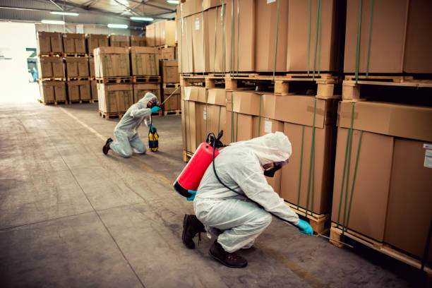 Professional Pest Control in Neenah, WI
